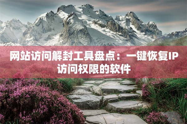 网站访问解封工具盘点：一键恢复IP访问权限的软件