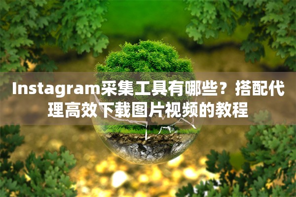 Instagram采集工具有哪些？搭配代理高效下载图片视频的教程