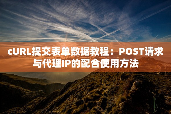 cURL提交表单数据教程：POST请求与代理IP的配合使用方法