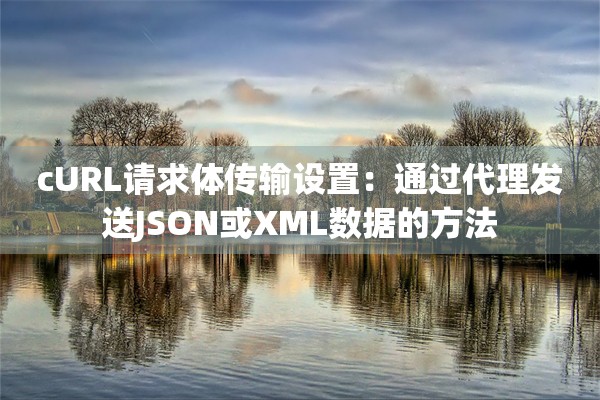 cURL请求体传输设置:通过代理发送JSON或XML数据的方法