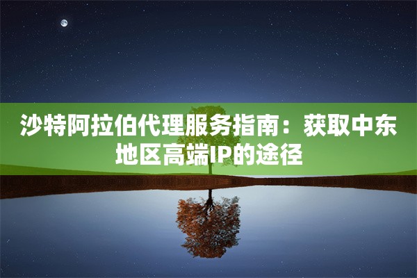 沙特阿拉伯代理服务指南:获取中东地区高端IP的途径