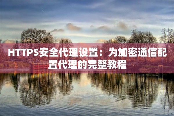 HTTPS安全代理设置：为加密通信配置代理的完整教程
