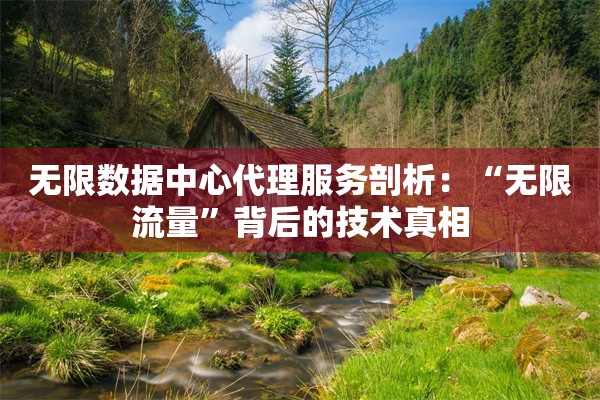 无限数据中心代理服务剖析:“无限流量”背后的技术真相