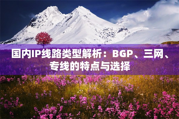 国内IP线路类型解析：BGP、三网、专线的特点与选择