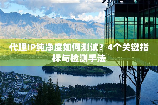 代理IP纯净度如何测试?4个关键指标与检测手法