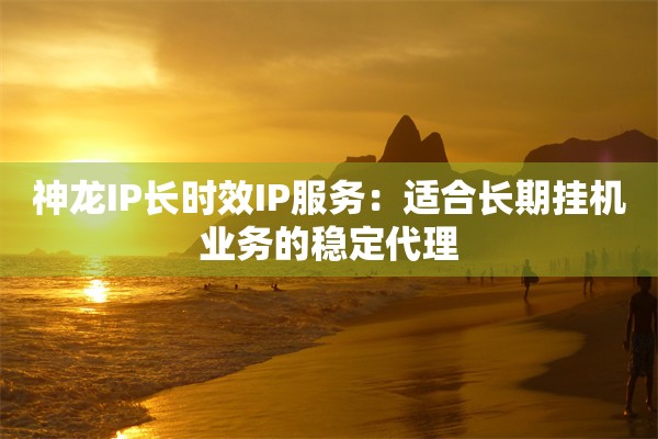 神龙IP长时效IP服务:适合长期挂机业务的稳定代理