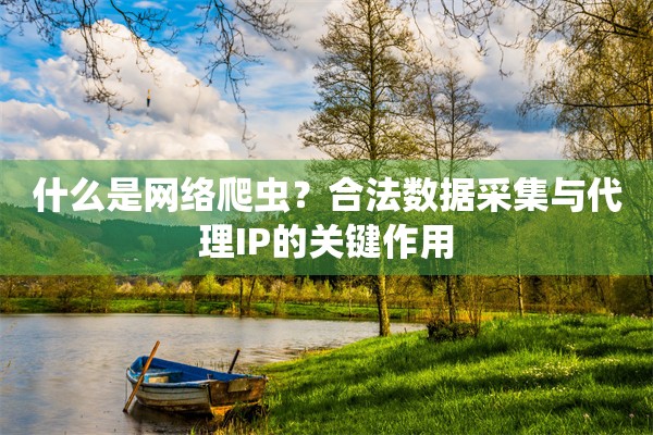 什么是网络爬虫?合法数据采集与代理IP的关键作用