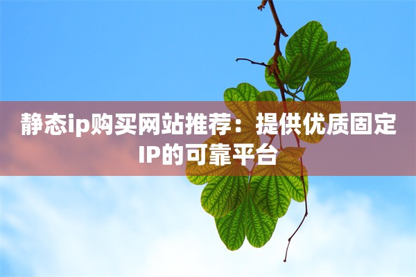 静态ip购买网站推荐:提供优质固定IP的可靠平台