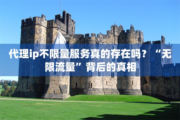代理ip不限量服务真的存在吗?“无限流量”背后的真相