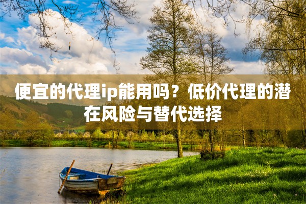 便宜的代理ip能用吗?低价代理的潜在风险与替代选择