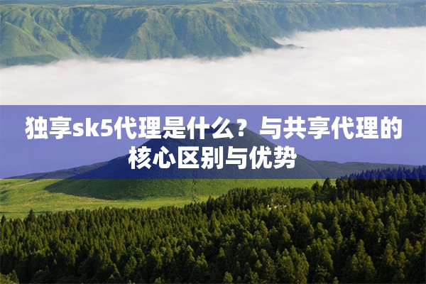 独享sk5代理是什么?与共享代理的核心区别与优势
