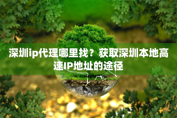深圳ip代理哪里找?获取深圳本地高速IP地址的途径