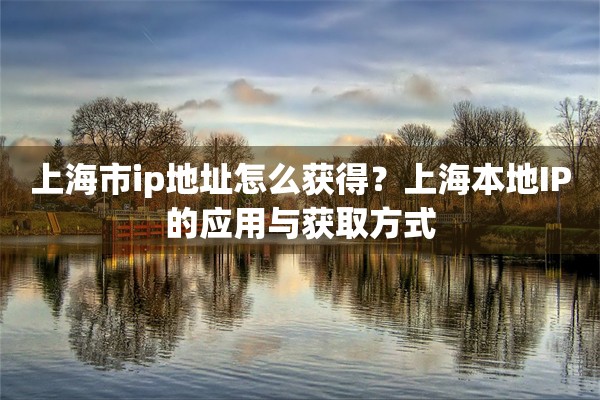 上海市ip地址怎么获得?上海本地IP的应用与获取方式
