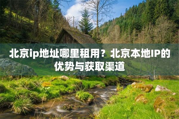 北京ip地址哪里租用?北京本地IP的优势与获取渠道