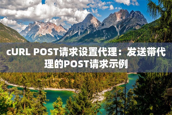 cURL POST请求设置代理：发送带代理的POST请求示例