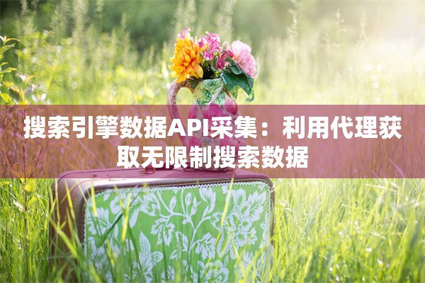 搜索引擎数据API采集:利用代理获取无限制搜索数据