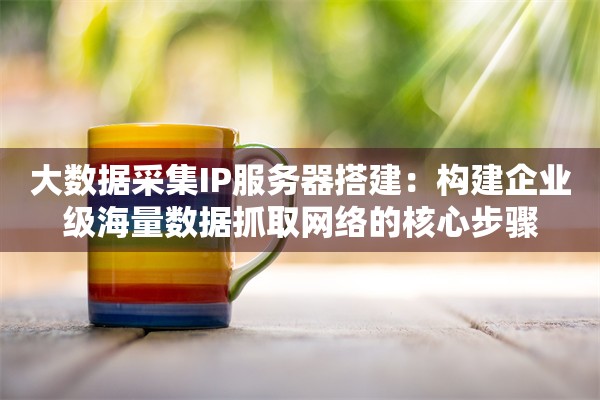 大数据采集IP服务器搭建:构建企业级海量数据抓取网络的核心步骤