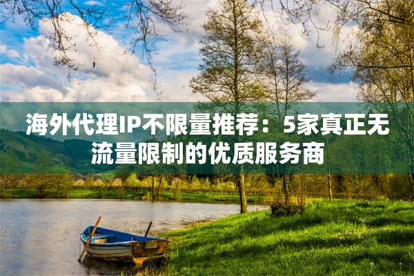海外代理IP不限量推荐:5家真正无流量限制的优质服务商
