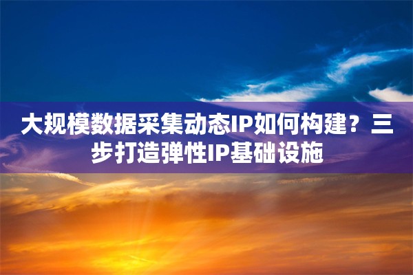 大规模数据采集动态IP如何构建?三步打造弹性IP基础设施