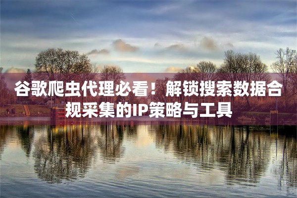 谷歌爬虫代理必看!解锁搜索数据合规采集的IP策略与工具