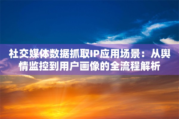 社交媒体数据抓取IP应用场景:从舆情监控到用户画像的全流程解析