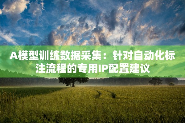A模型训练数据采集:针对自动化标注流程的专用IP配置建议