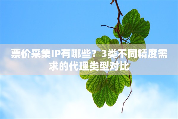 票价采集IP有哪些?3类不同精度需求的代理类型对比
