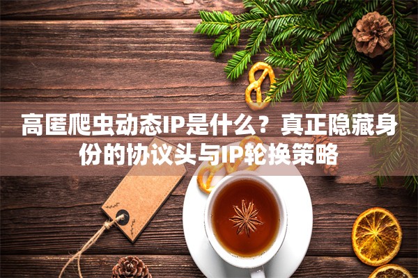 高匿爬虫动态IP是什么?真正隐藏身份的协议头与IP轮换策略