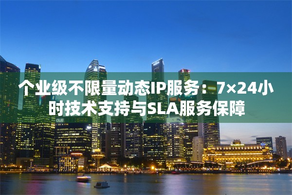 个业级不限量动态IP服务:7×24小时技术支持与SLA服务保障