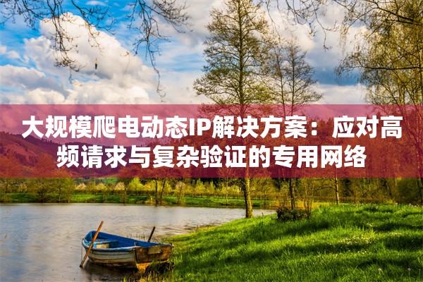 大规模爬电动态IP解决方案:应对高频请求与复杂验证的专用网络