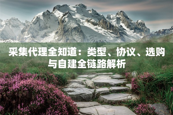采集代理全知道:类型、协议、选购与自建全链路解析