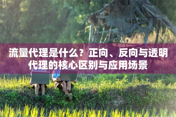 流量代理是什么?正向、反向与透明代理的核心区别与应用场景