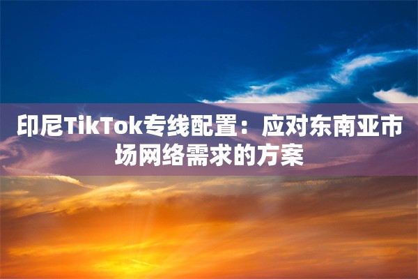 印尼TikTok专线配置:应对东南亚市场网络需求的方案