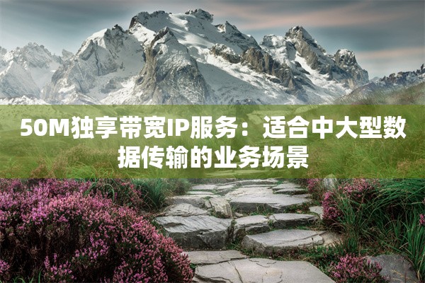 50M独享带宽IP服务：适合中大型数据传输的业务场景