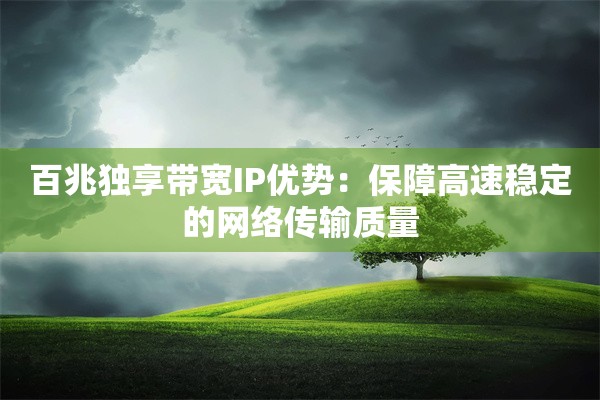 百兆独享带宽IP优势:保障高速稳定的网络传输质量