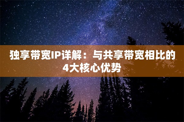独享带宽IP详解:与共享带宽相比的4大核心优势