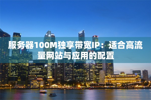 服务器100M独享带宽IP:适合高流量网站与应用的配置