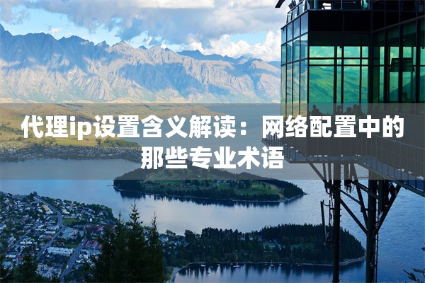 代理ip设置含义解读：网络配置中的那些专业术语