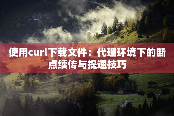 使用curl下载文件：代理环境下的断点续传与提速技巧