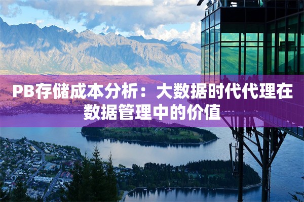PB存储成本分析：大数据时代代理在数据管理中的价值