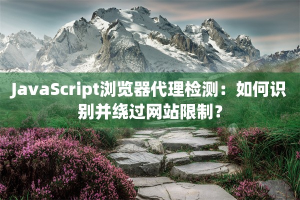 JavaScript浏览器代理检测：如何识别并绕过网站限制？