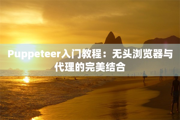 Puppeteer入门教程：无头浏览器与代理的完美结合