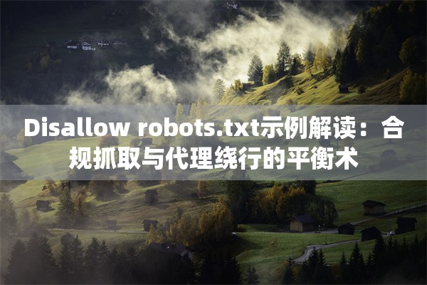 Disallow robots.txt示例解读：合规抓取与代理绕行的平衡术