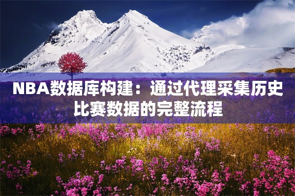 NBA数据库构建:通过代理采集历史比赛数据的完整流程