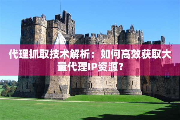代理抓取技术解析:如何高效获取大量代理IP资源?