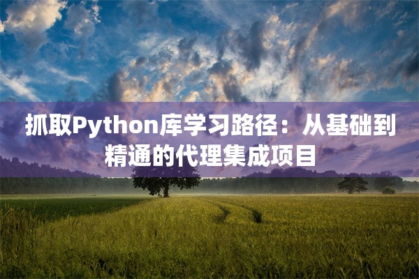 抓取Python库学习路径:从基础到精通的代理集成项目