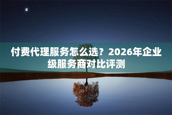 付费代理服务怎么选？2026年企业级服务商对比评测