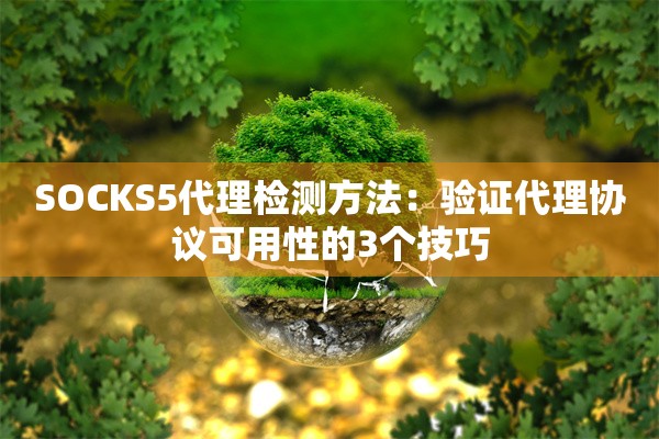 SOCKS5代理检测方法：验证代理协议可用性的3个技巧