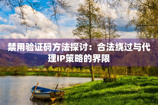 禁用验证码方法探讨：合法绕过与代理IP策略的界限