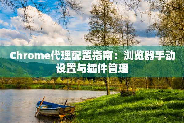 Chrome代理配置指南：浏览器手动设置与插件管理